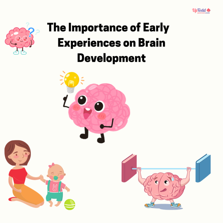 The Importance of Early Childhood Experiences on Brain Development