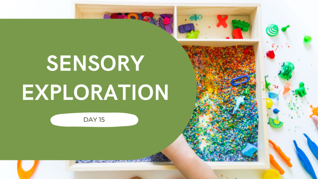 sensory exploration
